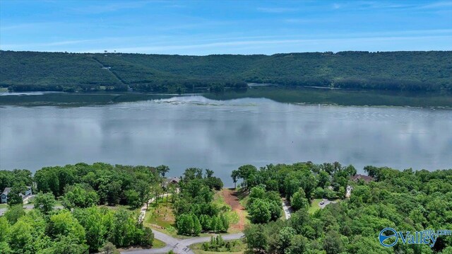 27 Heritage Ct, Scottsboro, AL 35769