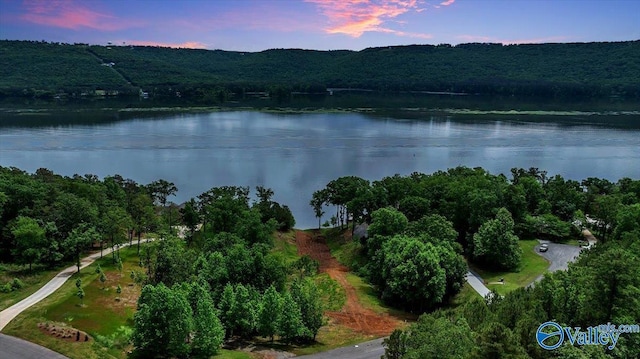 27 Heritage Ct, Scottsboro, AL 35769