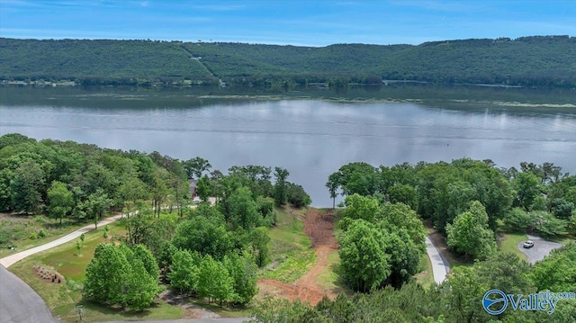 27 Heritage Ct, Scottsboro, AL 35769