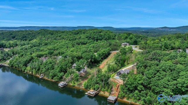 27 Heritage Ct, Scottsboro, AL 35769