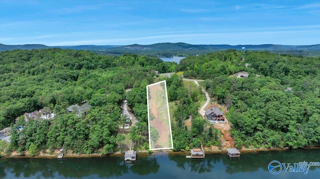 27 Heritage Ct, Scottsboro, AL 35769