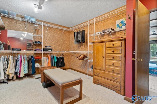 walk in closet featuring carpet