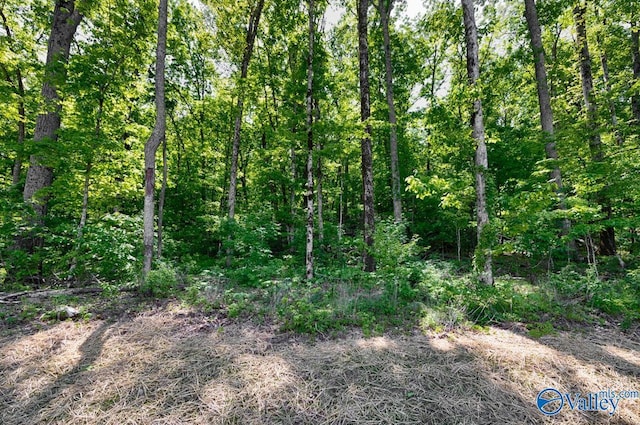 view of nature with a wooded view