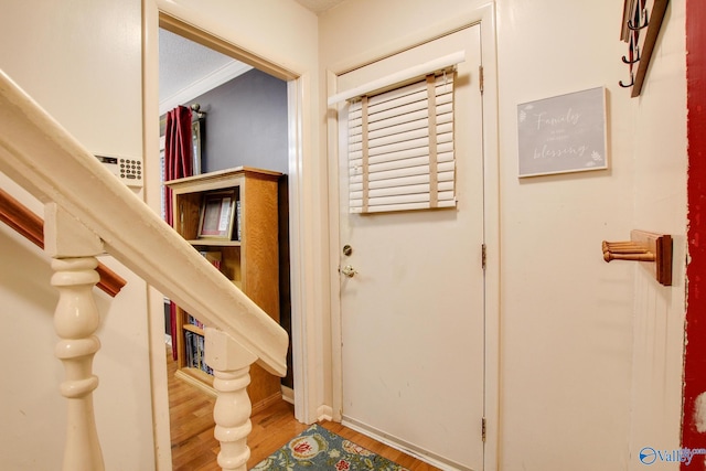 foyer entrance featuring wood-type flooring