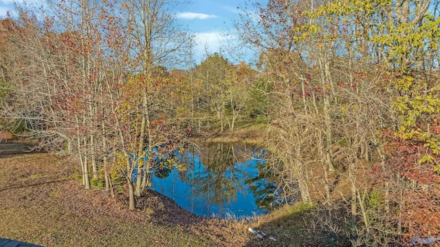 view of nature with a water view