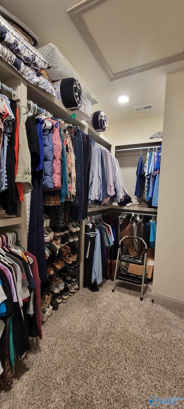 walk in closet with carpet floors