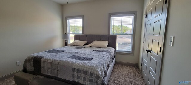 view of carpeted bedroom