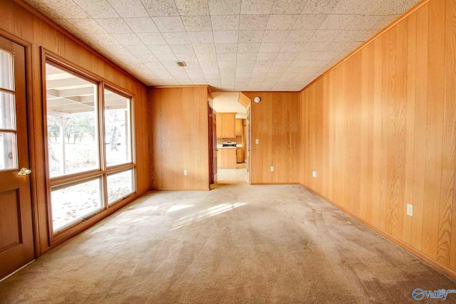 carpeted spare room with wood walls