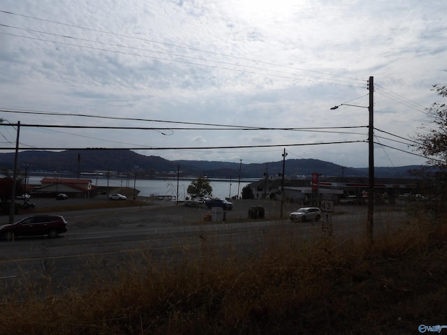 Listing photo 3 for 21ACRES Dunlap Ave, Guntersville AL 35976