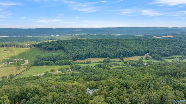 birds eye view of property featuring a mountain view