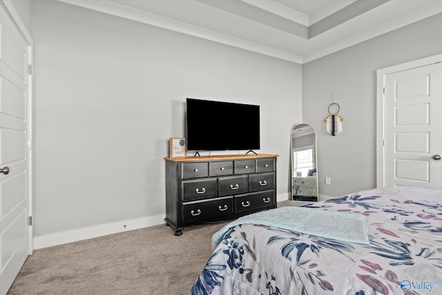 bedroom with a raised ceiling and carpet floors