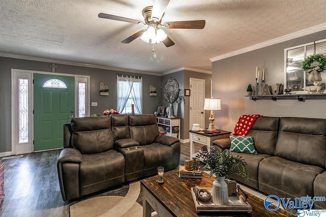 living room with wood finished floors, ceiling fan, ornamental molding, and a textured ceiling