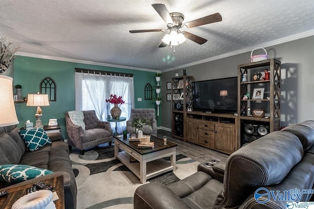 living room featuring crown molding, ceiling fan, and a textured ceiling