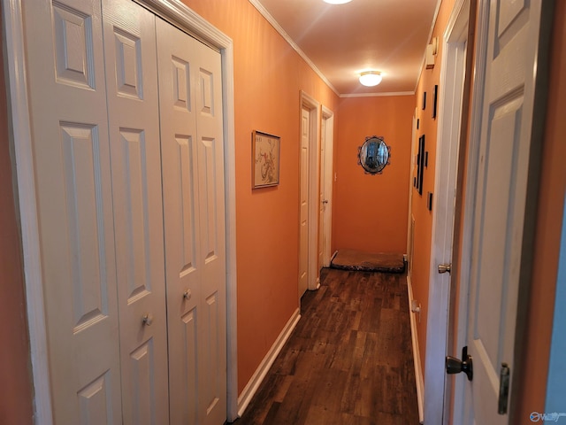 hallway featuring ornamental molding and dark hardwood / wood-style floors