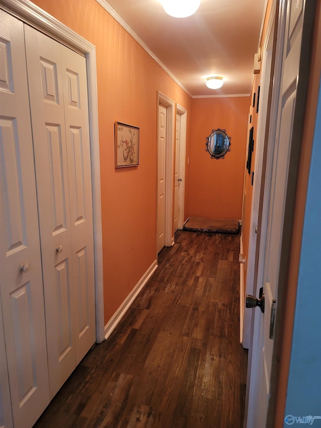 corridor featuring crown molding and dark hardwood / wood-style floors