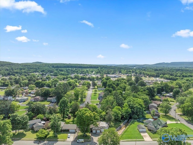 6304 Cedar Point Dr, Huntsville, AL 35810 - aerial view of residential area featuring a forest