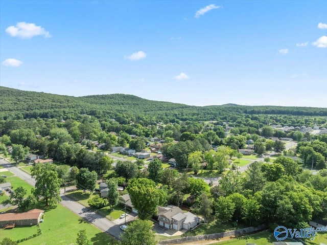 6304 Cedar Point Dr, Huntsville, AL 35810 - aerial view of a forest