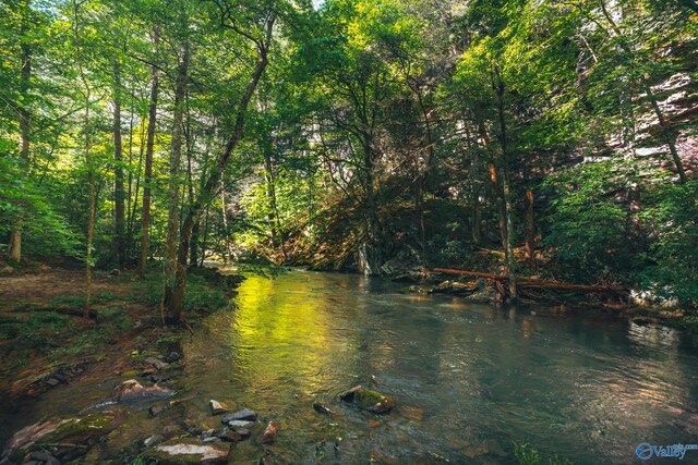 12970 State Route 56, Altamont, TN 37301