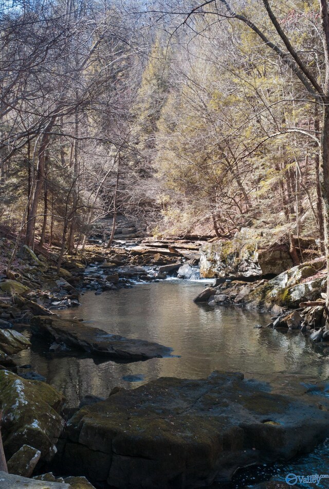 12970 State Route 56, Altamont, TN 37301