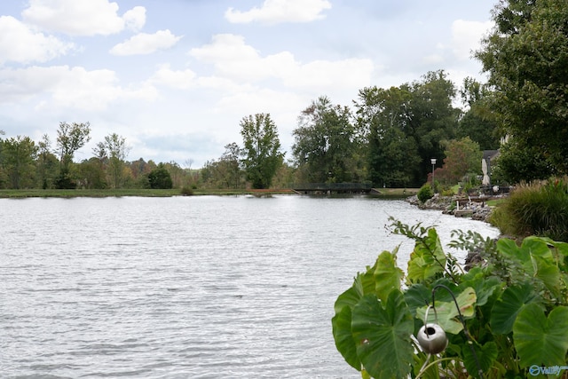 view of water feature