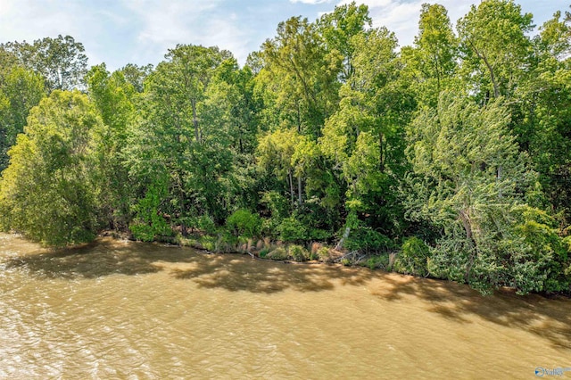 GG Moneys Bend Rd, Cedar Bluff, AL 35959