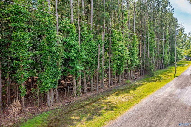 GG Moneys Bend Rd, Cedar Bluff, AL 35959