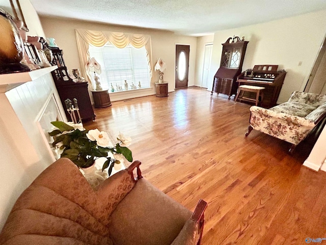 living room with wood-type flooring and a textured ceiling