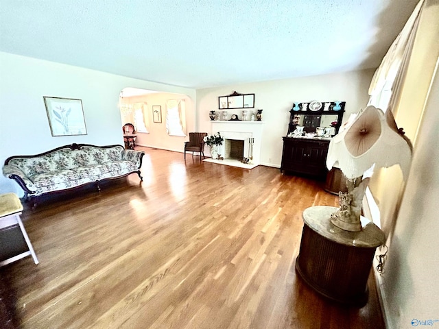 living room with hardwood / wood-style flooring