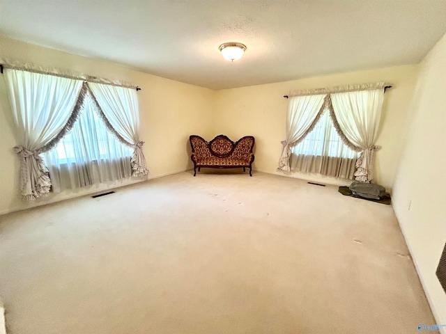 living area featuring carpet floors