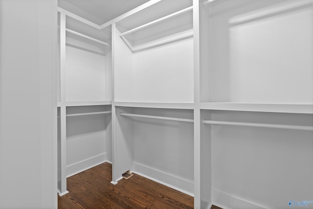 spacious closet featuring hardwood / wood-style floors