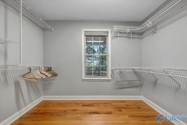 walk in closet featuring wood-type flooring