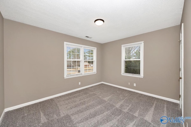 carpeted empty room featuring plenty of natural light and a textured ceiling