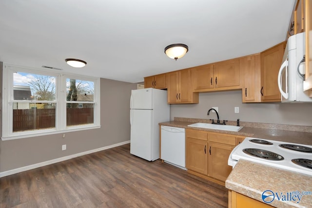 kitchen featuring dark hardwood / wood-style floors, sink, and white appliances