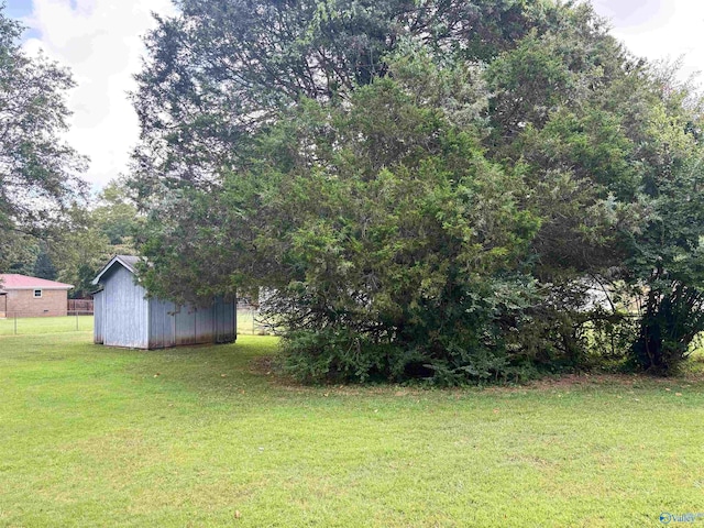 view of yard with an outbuilding and a storage unit