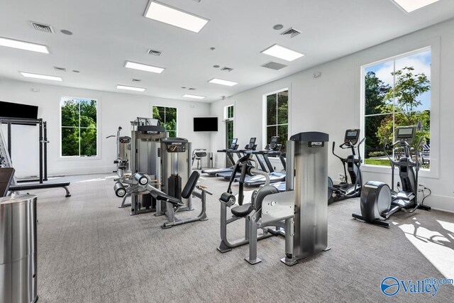 workout area featuring light colored carpet and a healthy amount of sunlight