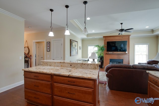 kitchen with dark wood-type flooring, a fireplace, and plenty of natural light