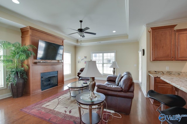 living room with hardwood / wood-style flooring, ceiling fan, a raised ceiling, and crown molding