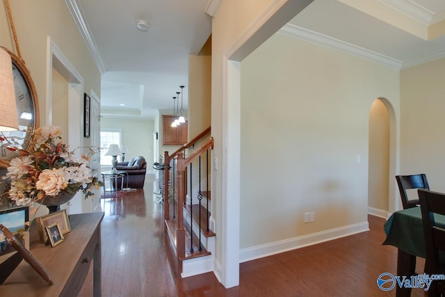 corridor featuring dark wood-type flooring and crown molding