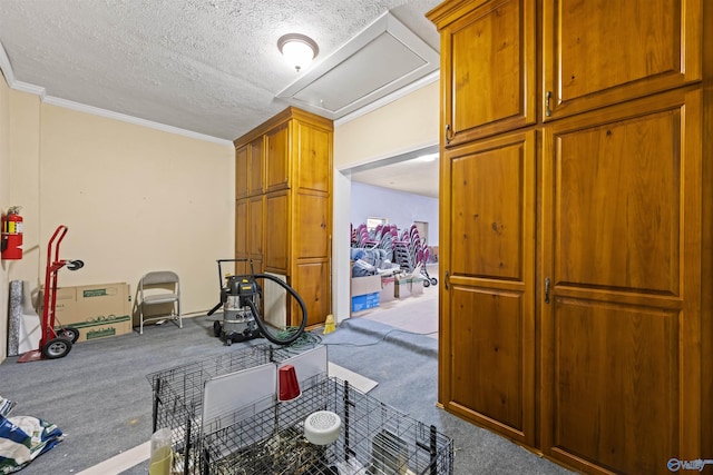 interior space with carpet, crown molding, and a textured ceiling