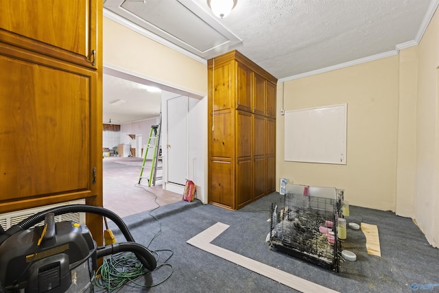 miscellaneous room with carpet floors, a textured ceiling, and ornamental molding