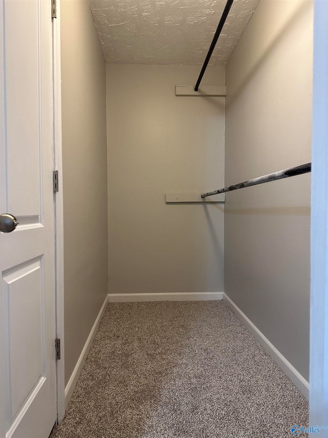 spacious closet featuring carpet