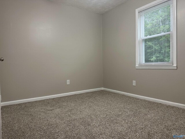 bathroom with hardwood / wood-style flooring, vanity, toilet, and crown molding