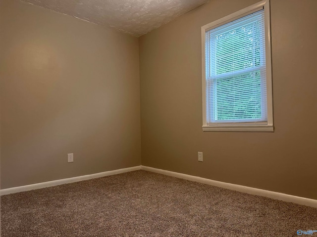 spare room with a textured ceiling, carpet floors, and a healthy amount of sunlight