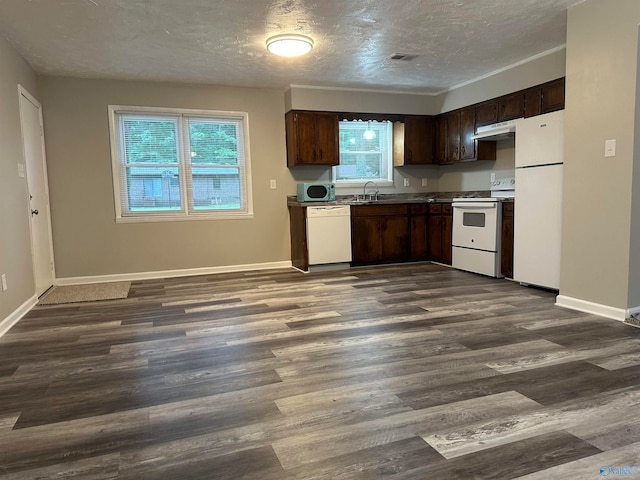 kitchen featuring dark hardwood / wood-style flooring, white appliances, a textured ceiling, and plenty of natural light