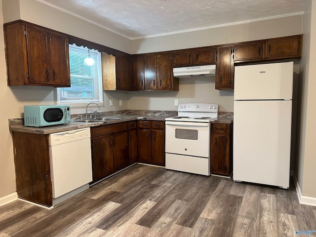 kitchen with dark brown cabinetry, dark wood-type flooring, and white appliances