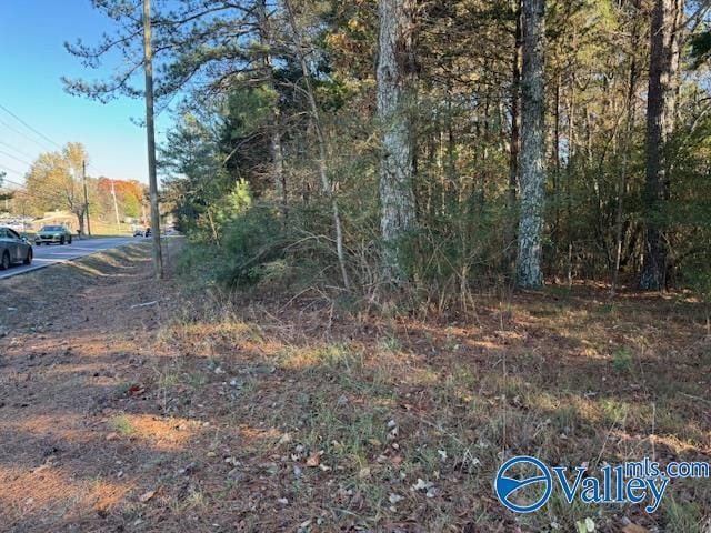 Listing photo 3 for 2ACRES Capshaw Rd NW, Madison AL 35757