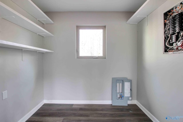 spacious closet with dark wood-type flooring