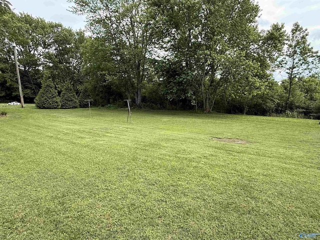 4094 County Road 66, Section, AL 35771 - view of grassy yard
