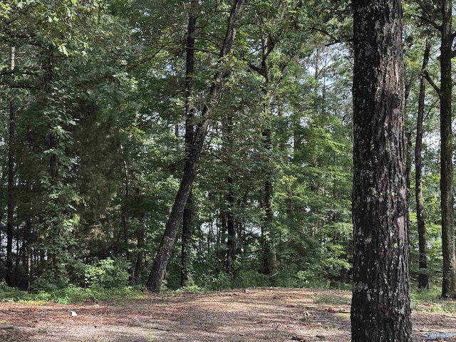 LOT6 County Road 448, Centre, AL 35960