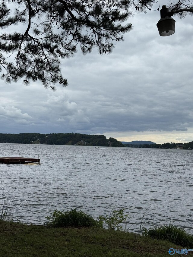 2585 County Road 67, Scottsboro, AL 35769 - water view featuring a dock